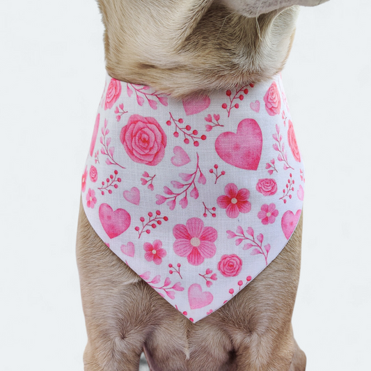 Flying Hearts Bandana