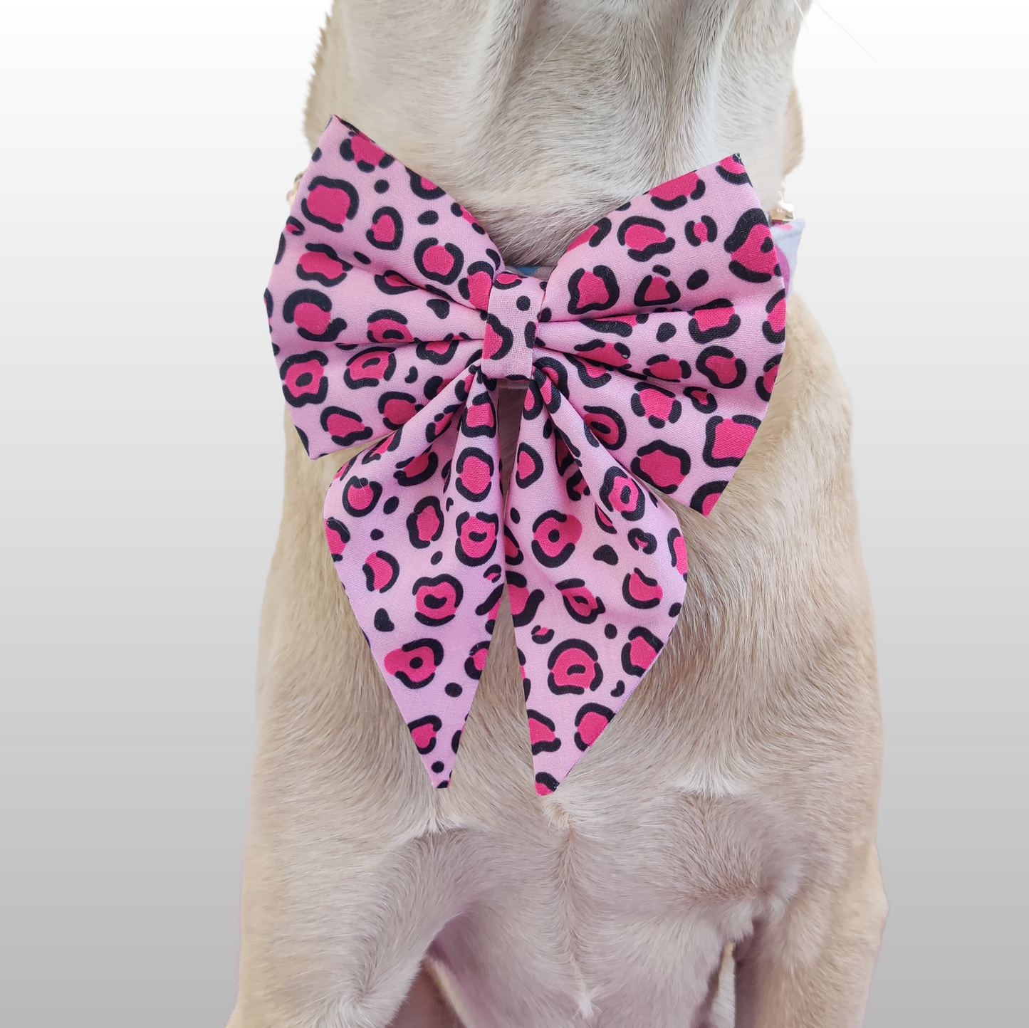 Pink Leopard Bowtie