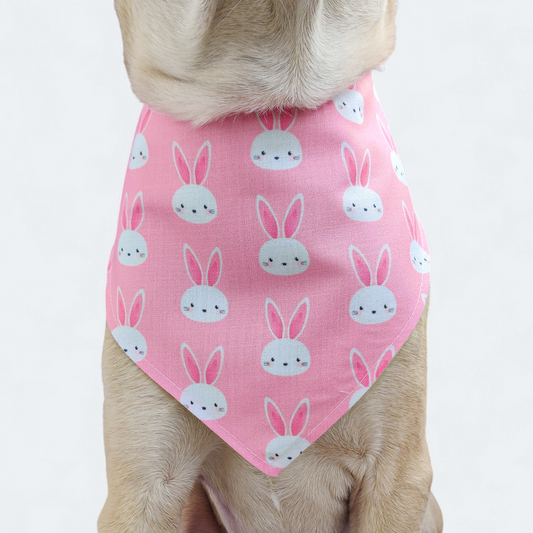 Easter Bunny (pink) Bandana