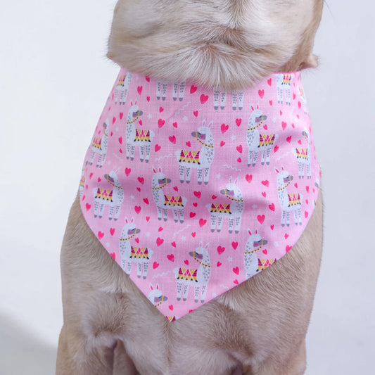 Alpaca my love Dog Bandana