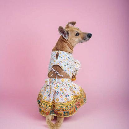 Sonpari Lehenga