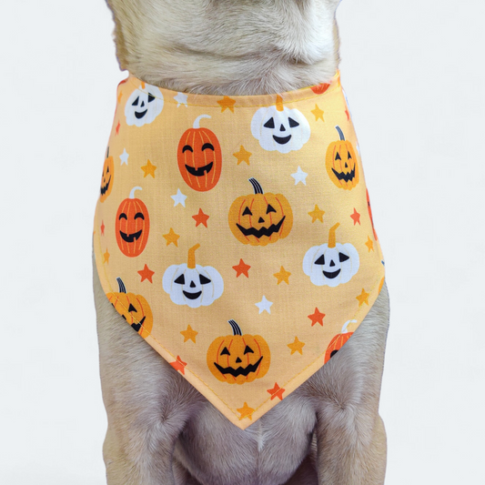 Scary Pumpkin Bandana
