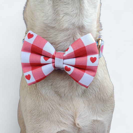 Heartfelt Gingham Classic Bow