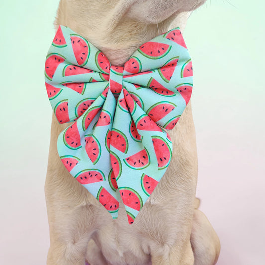 Watermelon sugar Sailor Bow for Dogs