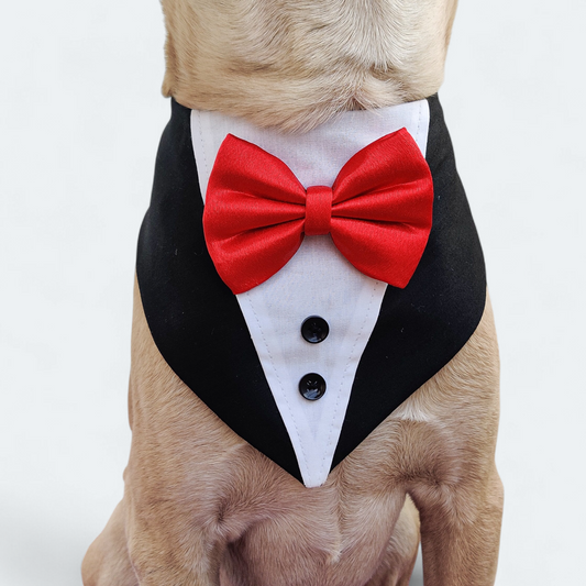 Little Gentleman Tuxedo Bandana for Dogs