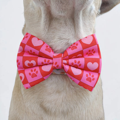 Checkmate Collar + Leash + Classic Bow for Dogs