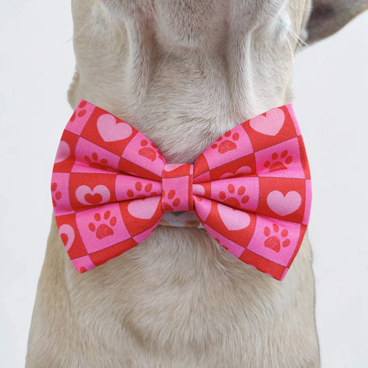 Checkmate Classic Bow for Dogs