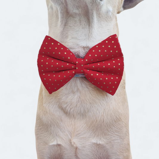 Red Polka Classic Bow for Dogs