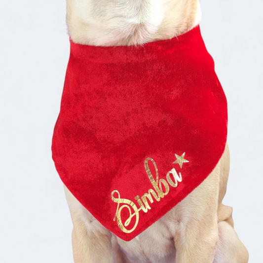 Red Velvet Bandana