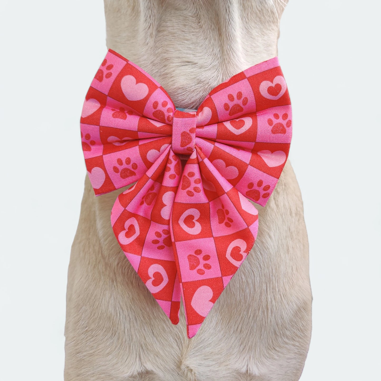 Checkmate Collar + Leash + Sailor Bow for Dogs