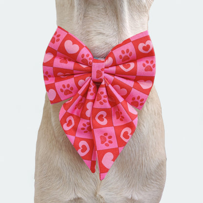 Checkmate Collar + Leash + Sailor Bow for Dogs