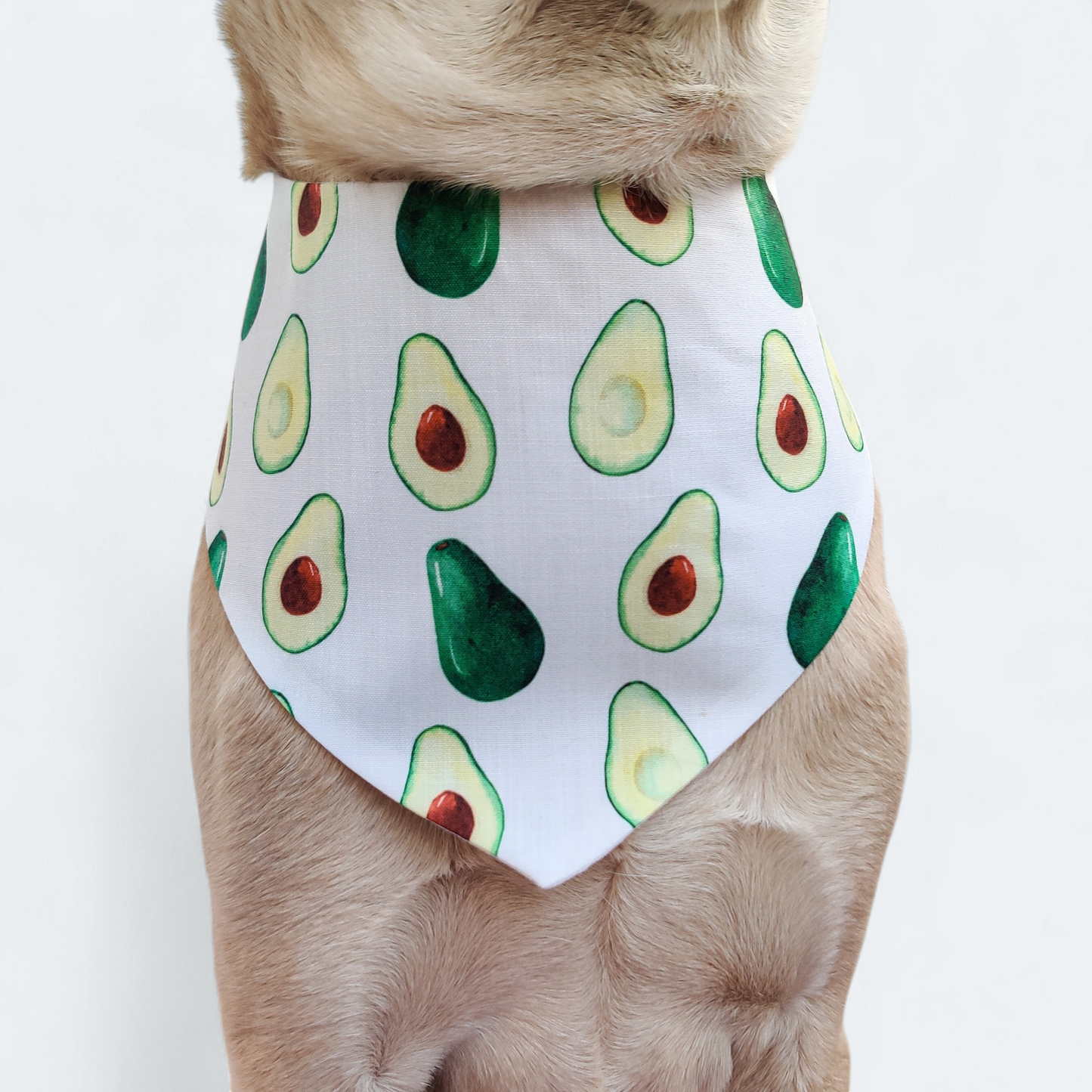 Avocado Bandana