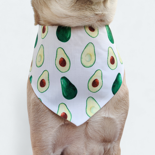 Avocado Bandana
