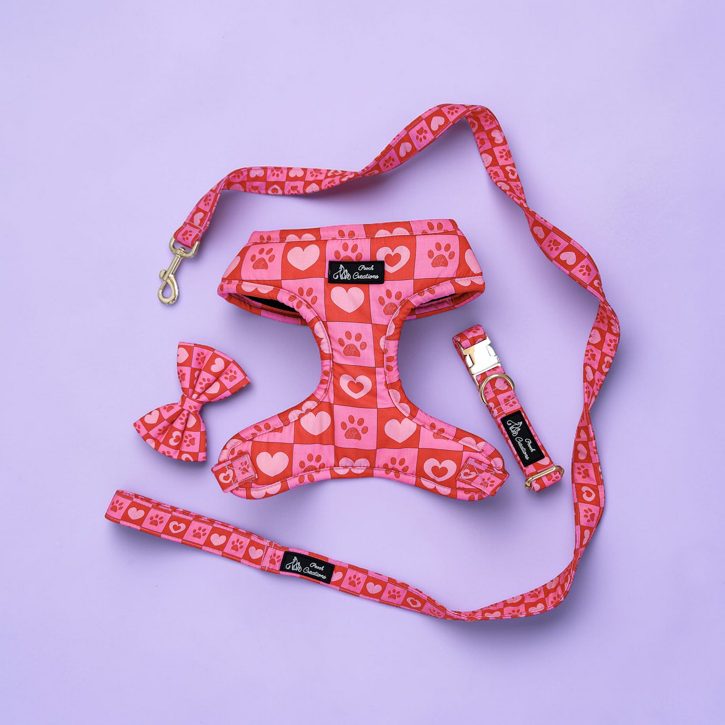 Checkmate Harness + Collar + Leash + Classic Bow