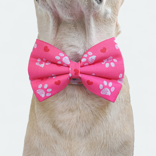 Pookie Paws Classic Bow for Dogs