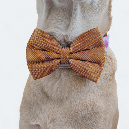 The Dapper Gold Classic Bow for Dogs