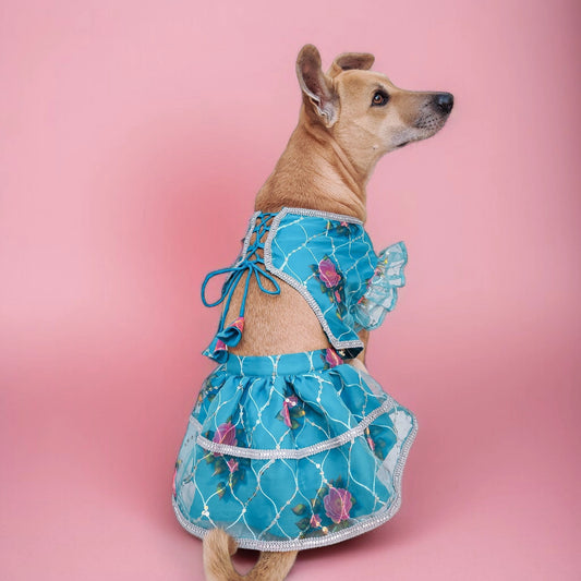 Turquoise Rose Organza Lehenga
