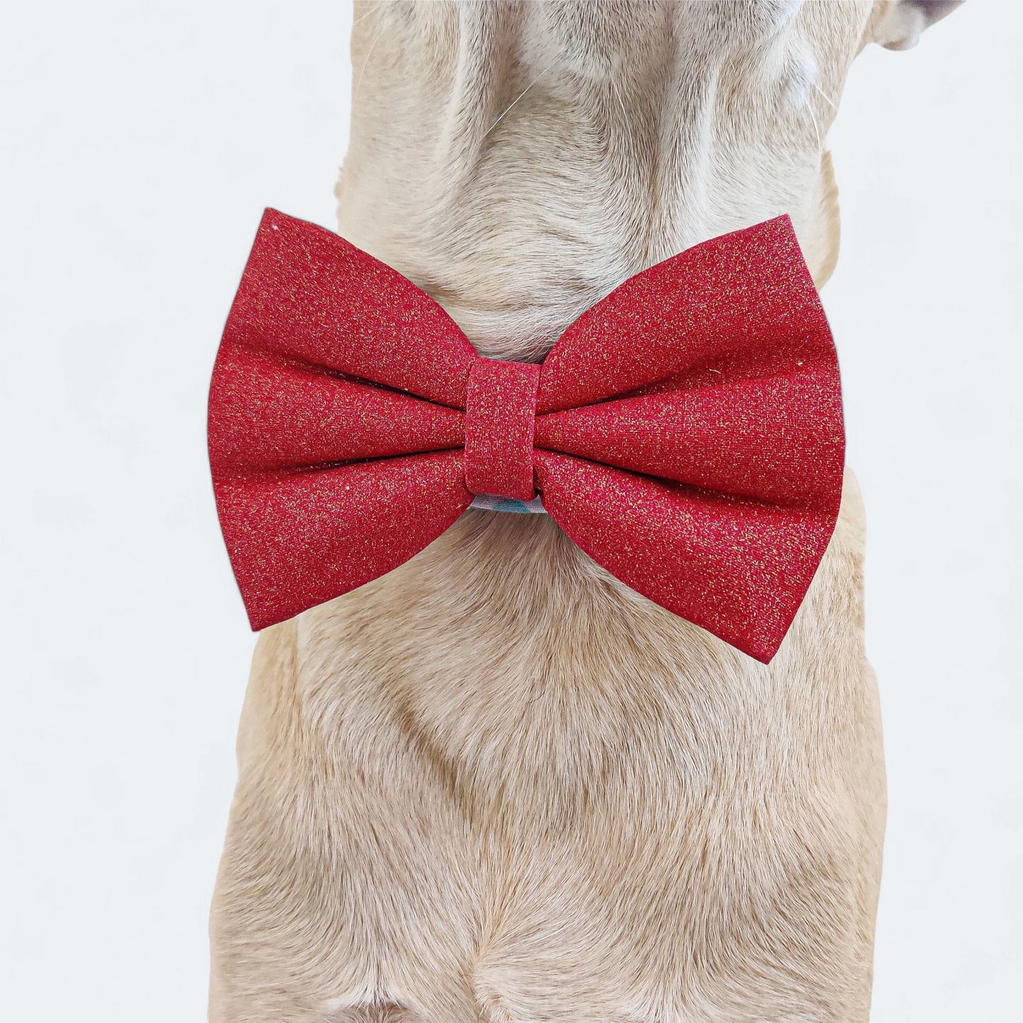 Party Red Classic Bow for Dogs