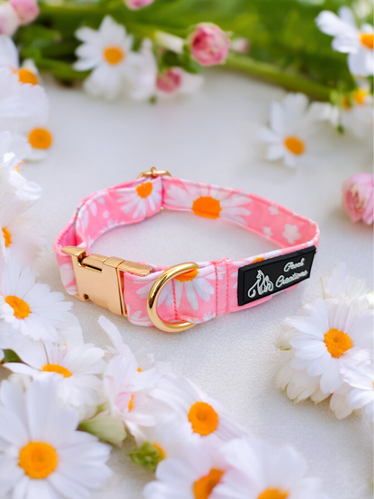 Dainty Daisy Harness + Collar + Leash + Classic Bow