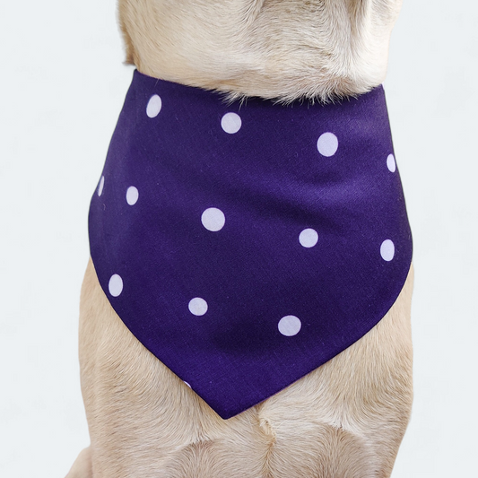 Dark dotty Bandana
