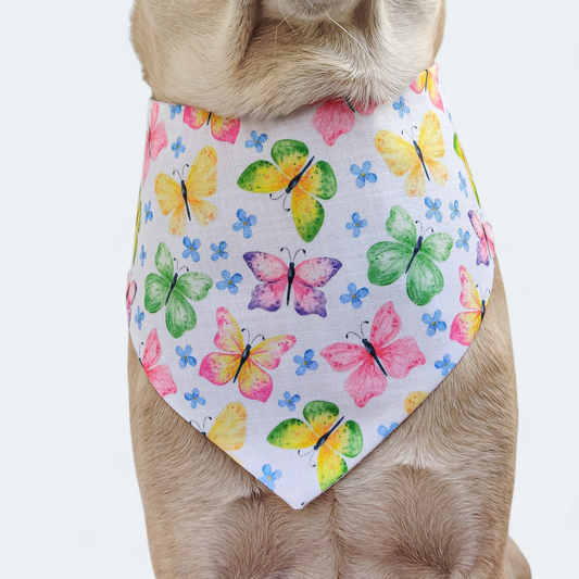Summer Butterflies Bandana
