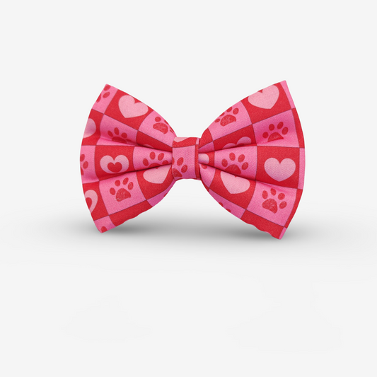 Checkmate Classic Bow for Dogs