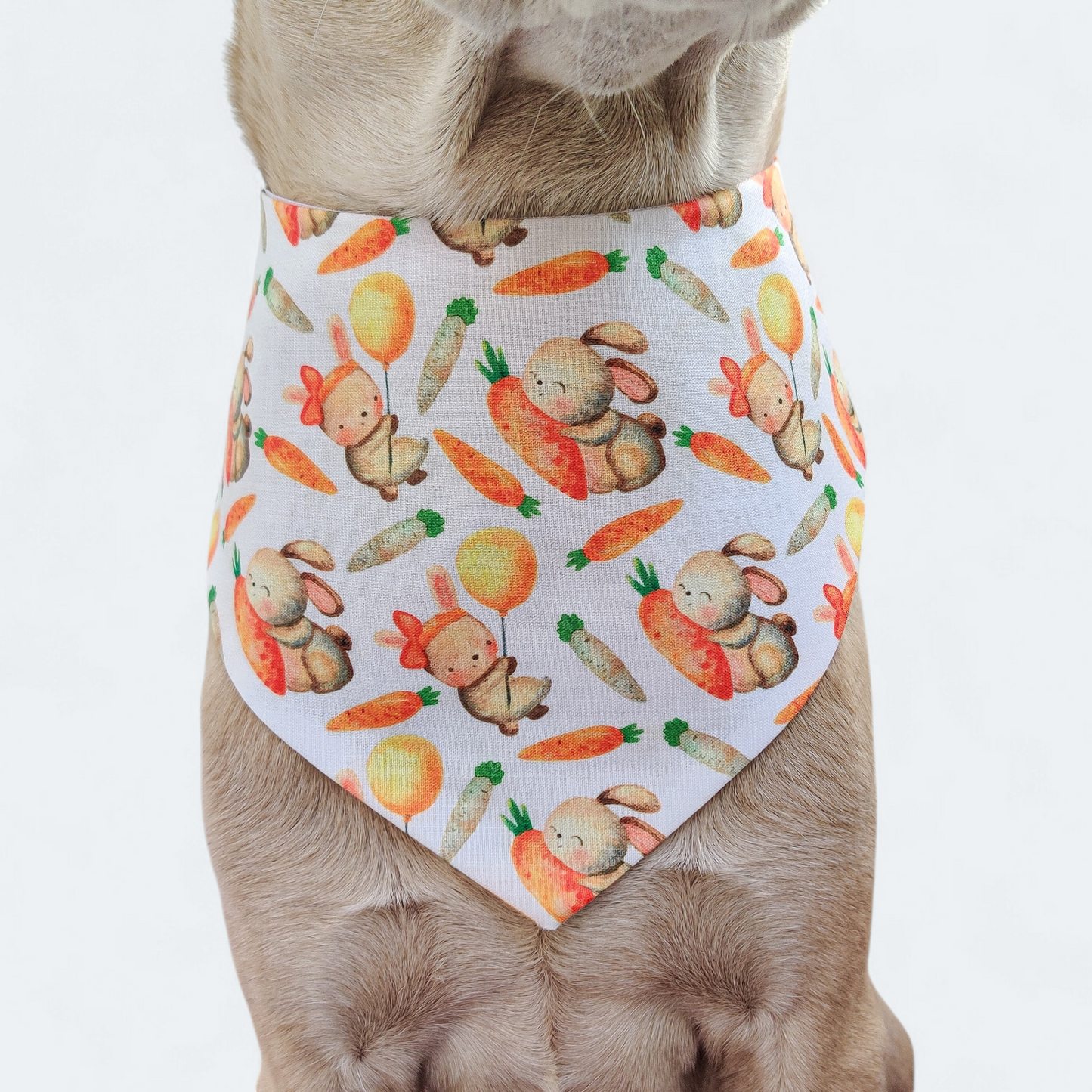 Honey Bunny Snap on Bandana