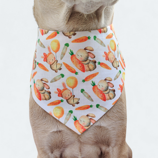 Honey Bunny Snap on Bandana