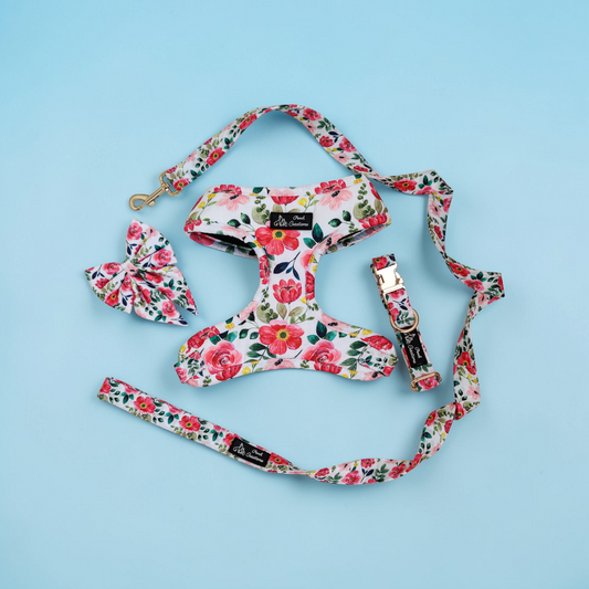 Scarlet Harness + Collar + Leash + Sailor Bow
