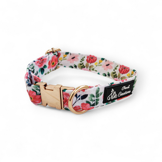 Scarlet Collar + Leash + Classic Bow for Dogs