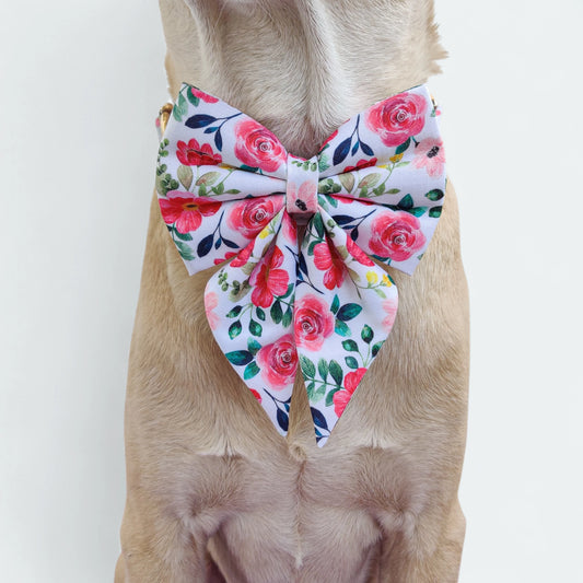 Scarlet Sailor Bow for Dogs