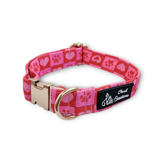 Checkmate Collar + Leash + Classic Bow for Dogs