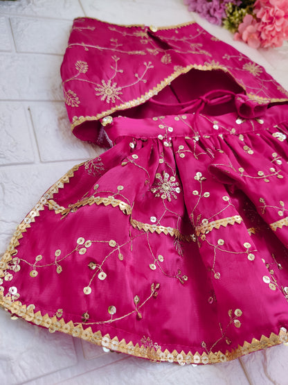 Gulabi Phooljhari Lehenga