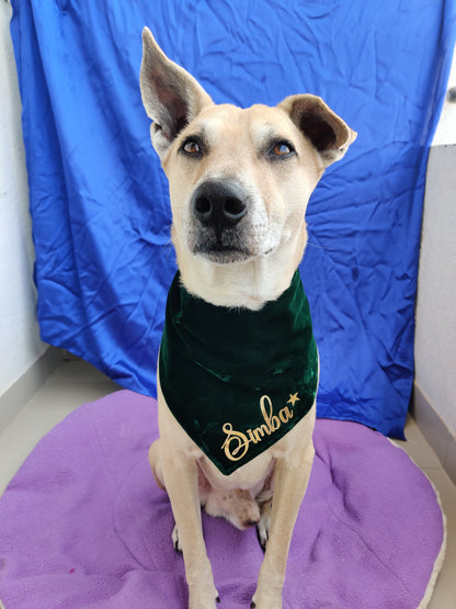 Green Velvet Bandana