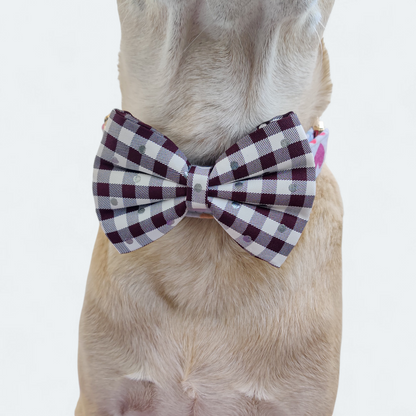Checksy Classic Bow for Dogs