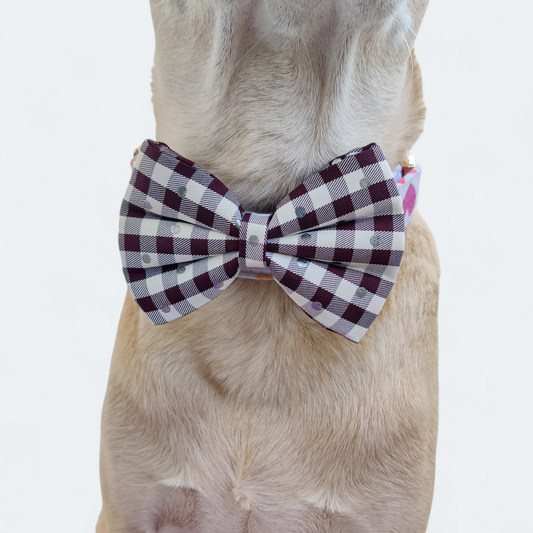 Checksy Classic Bow for Dogs