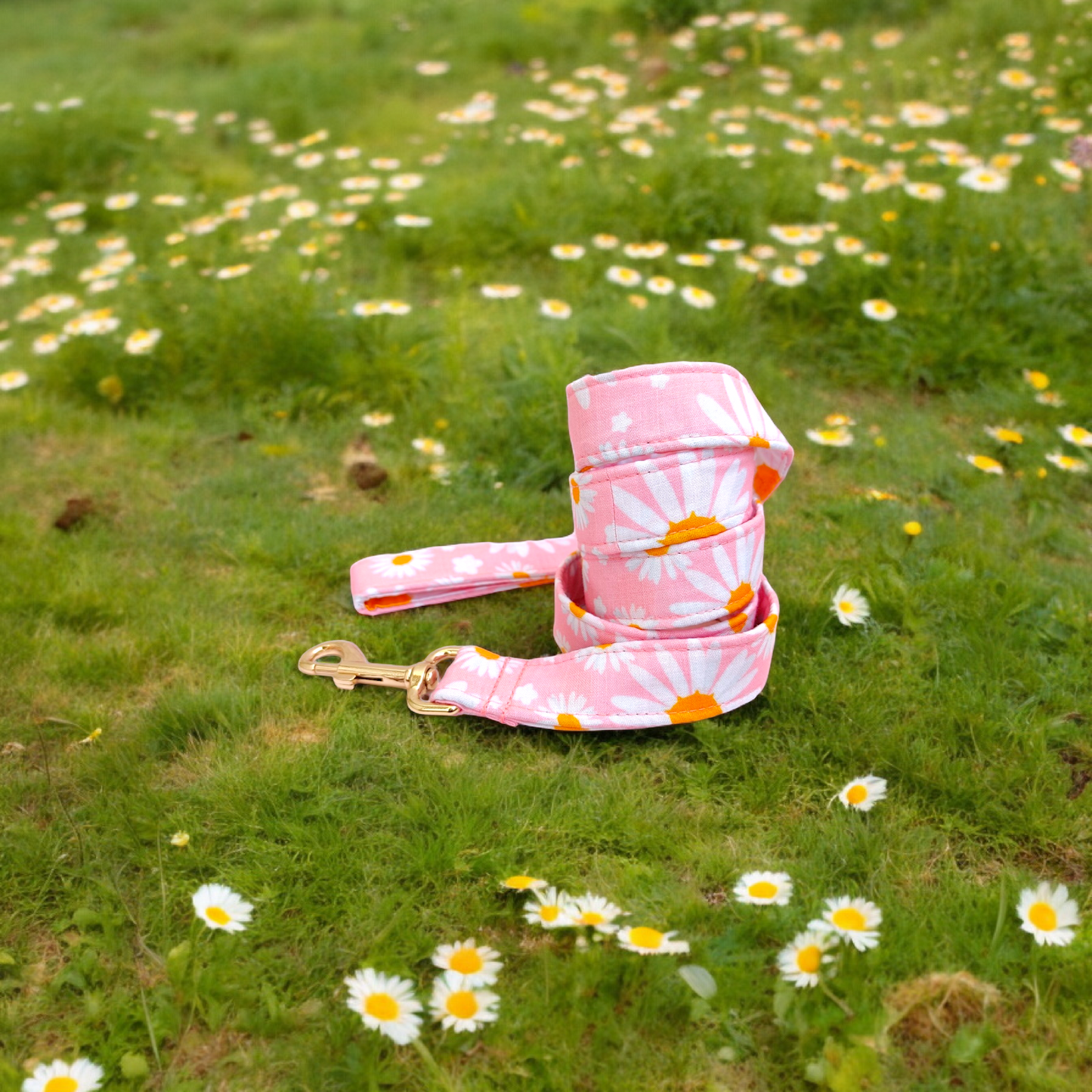 Dainty Daisy Harness + Collar + Leash + Classic Bow