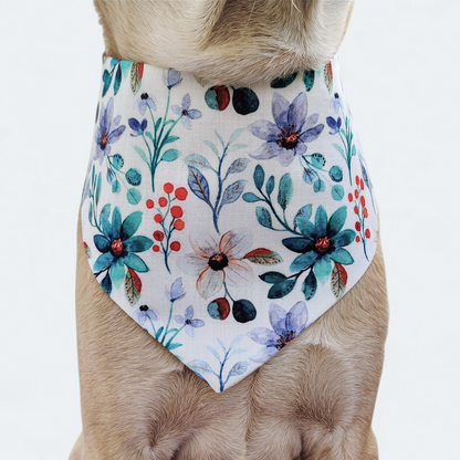 Petunia Harness + Collar + Leash + Bandana