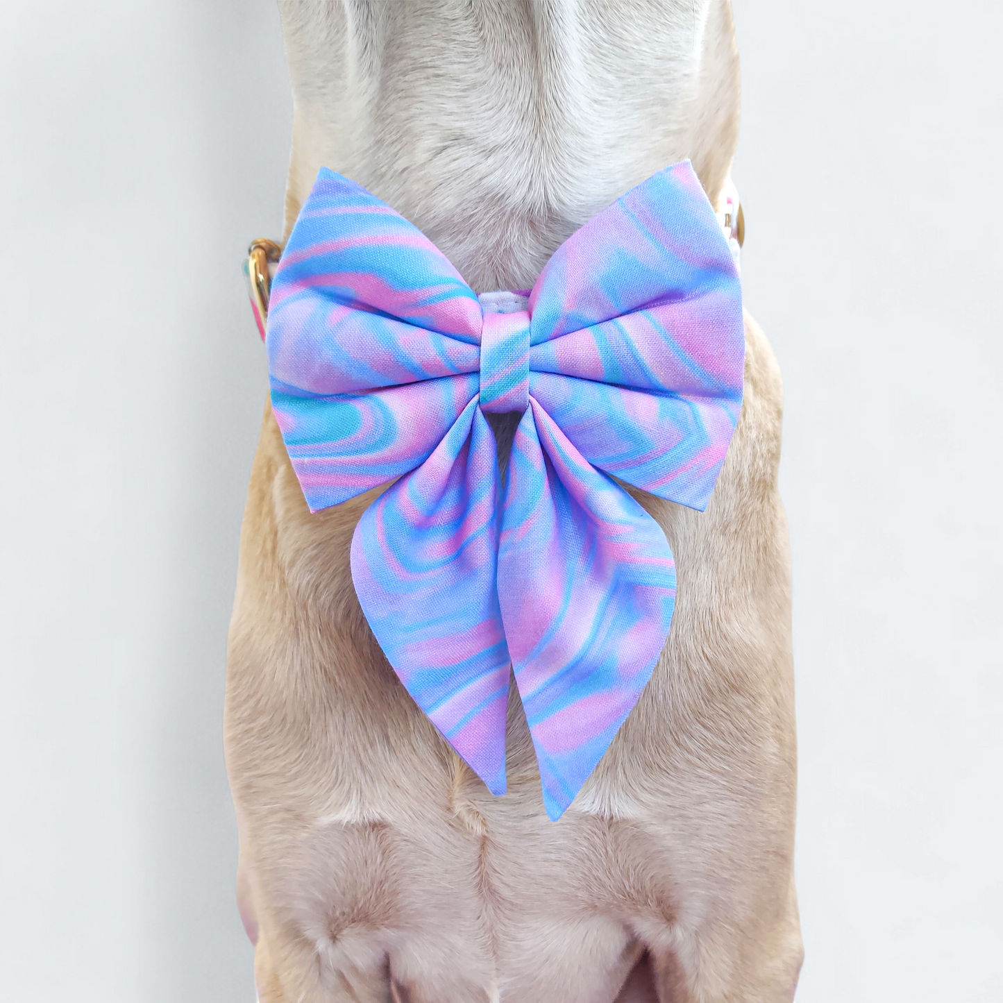 Marble Collar + Leash + Sailor Bow