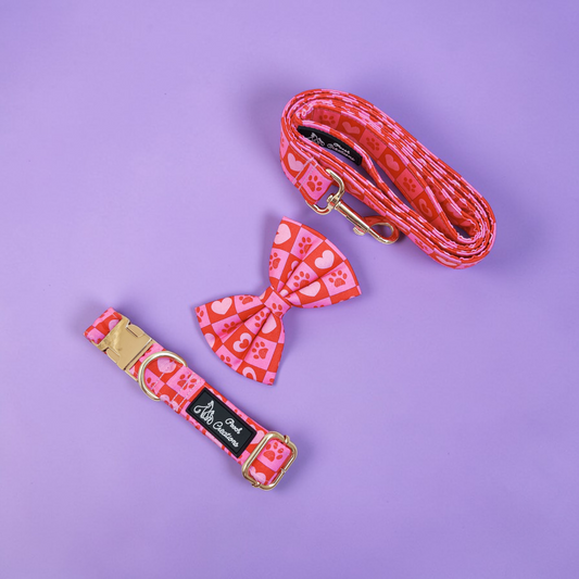 Checkmate Collar + Leash + Classic Bow for Dogs