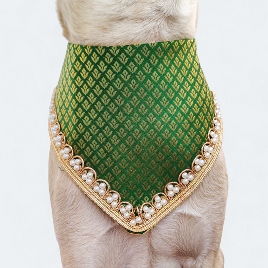 Shahi Panna Dog Bandana