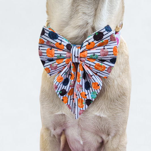Oh my Pumpkin Sailor Bow