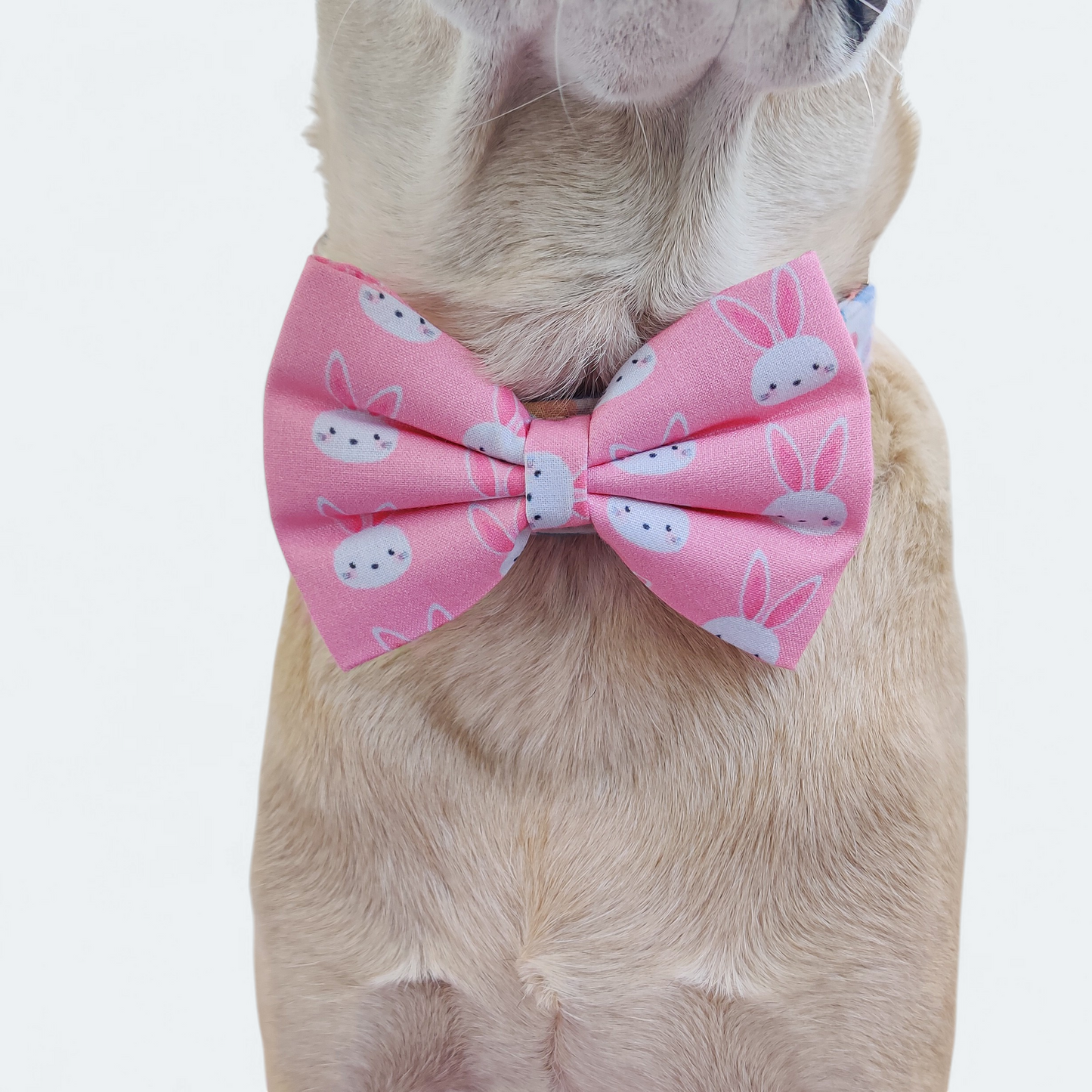 Easter Bunny (Pink) Classic Bow