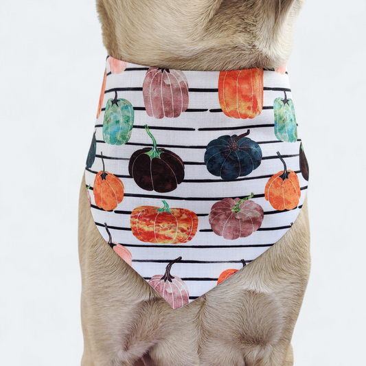 Oh my Pumpkin Bandana