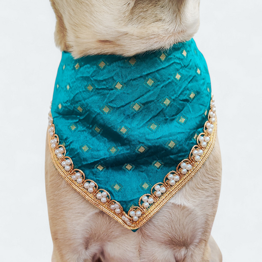 Morpankhi Sawari Dog Bandana