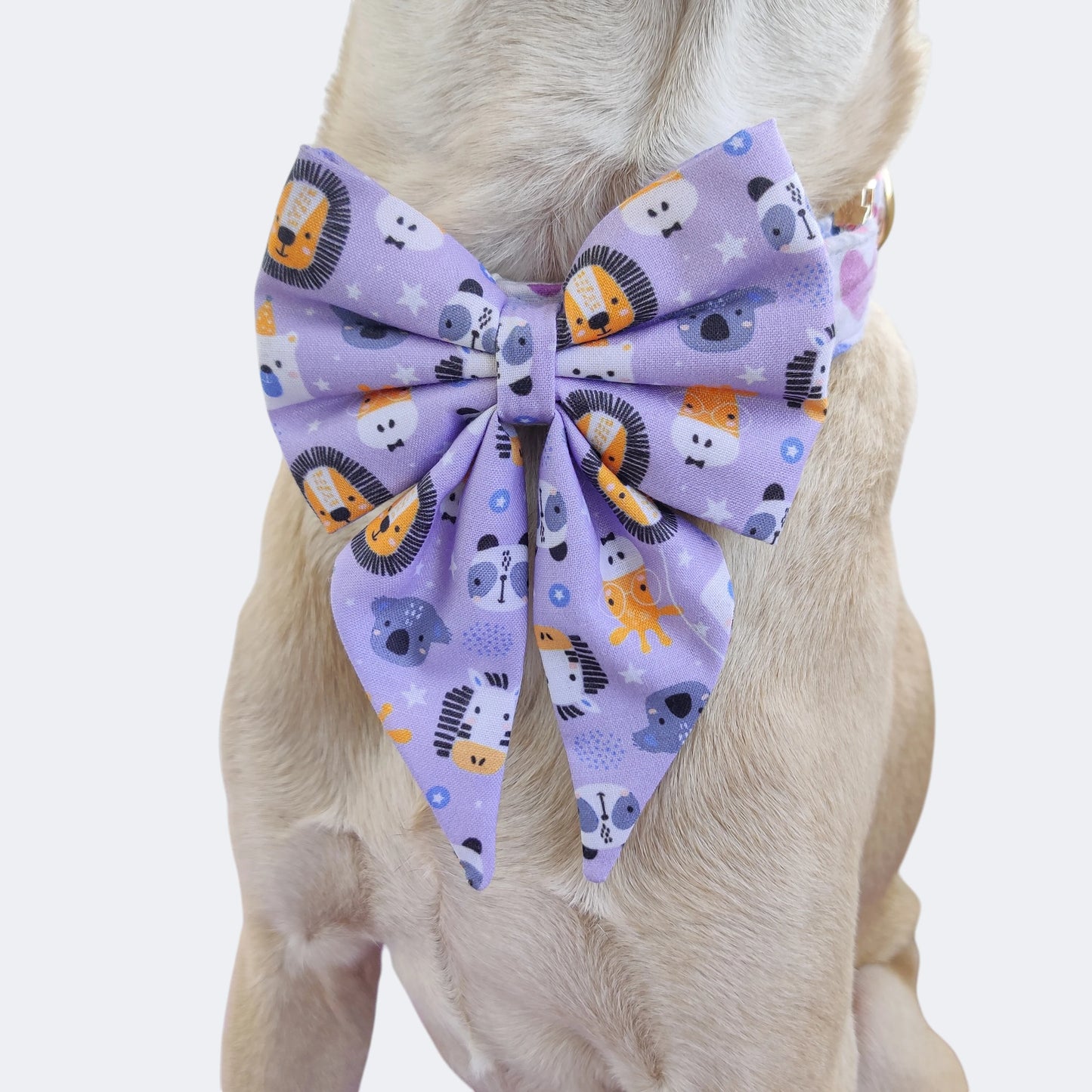 Kawaii Animal Harness + Collar + Leash + Sailor Bow