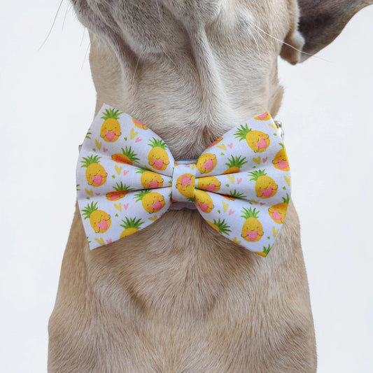 Pineapple in my heart Classic Bow for Dogs