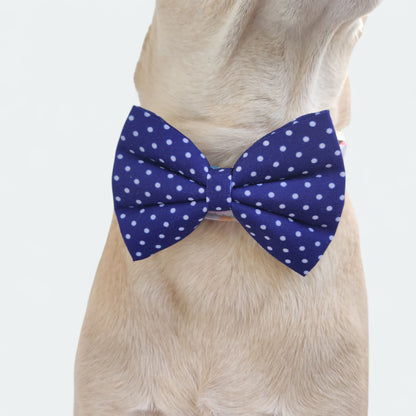 Dark Dotty Classic Bow