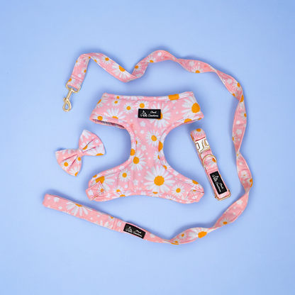 Dainty Daisy Harness + Collar + Leash + Classic Bow