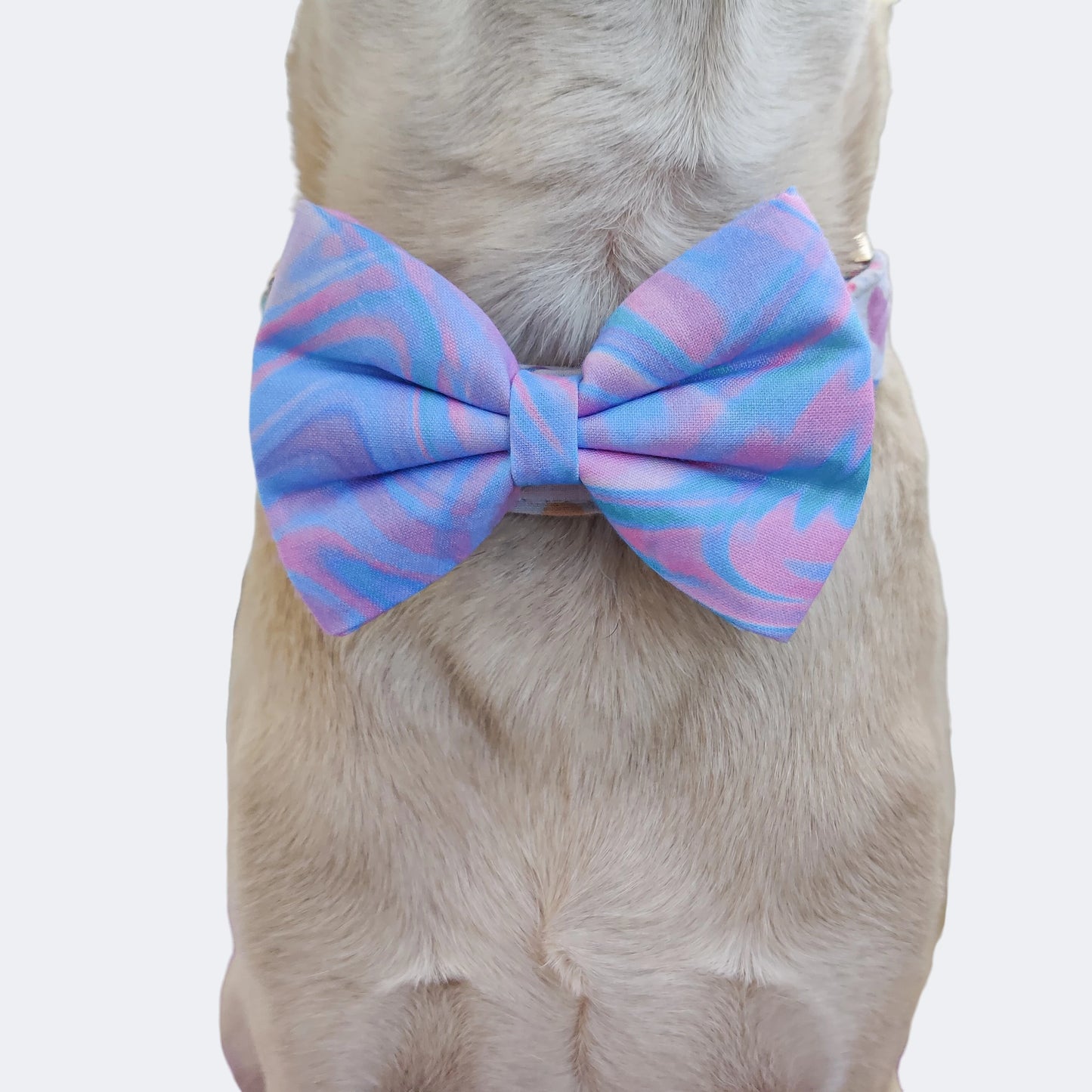 Marble Harness + Collar + Leash + Classic Bow